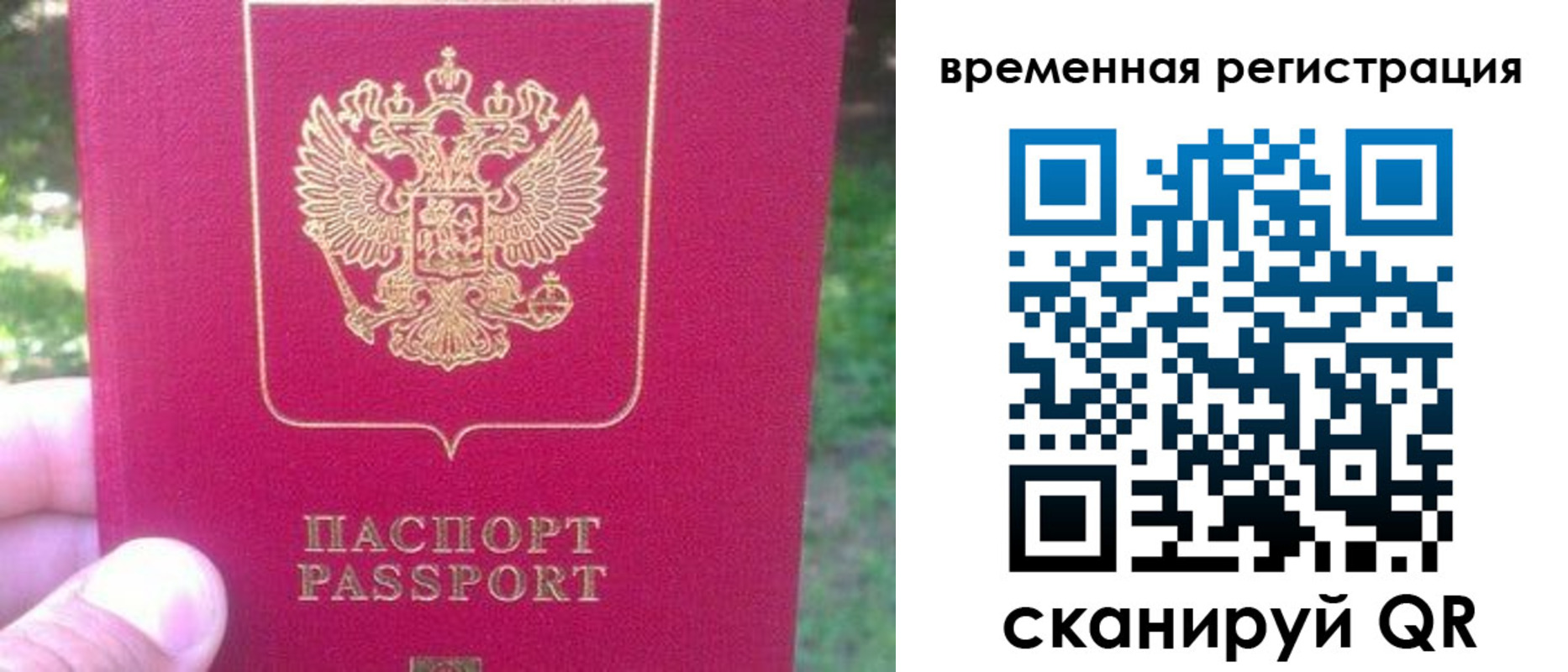 временная регистрация для школы в Белгороде
